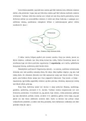 Marketingo strategijos plėtojant tarptautinę prekybą autodetalėmis 5 puslapis