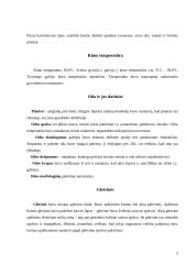 Gyvulio (karvės) klinikinis tyrimas 3 puslapis