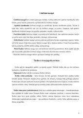 Gyvulio (karvės) klinikinis tyrimas 4 puslapis