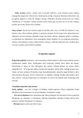 Gyvulio (karvės) klinikinis tyrimas 5 puslapis