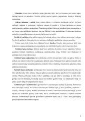 Gyvulio (karvės) klinikinis tyrimas 6 puslapis