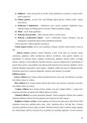 Gyvulio (karvės) klinikinis tyrimas 10 puslapis