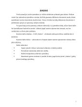 Masinio aptarnavimo uždavinio – ribotas plotas - sprendimas 3 puslapis