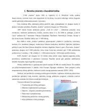 Masinio aptarnavimo uždavinio – ribotas plotas - sprendimas 4 puslapis