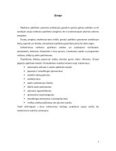 Medienos apdirbimo staklės 3 puslapis