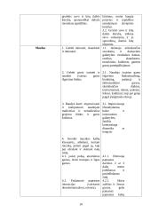 Meninės ir pažinimo kompetencijų tyrimas ir rezultatų analizė priešmokykliniame amžiuje 10 puslapis