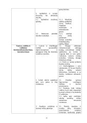 Meninės ir pažinimo kompetencijų tyrimas ir rezultatų analizė priešmokykliniame amžiuje 11 puslapis