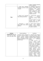 Meninės ir pažinimo kompetencijų tyrimas ir rezultatų analizė priešmokykliniame amžiuje 12 puslapis
