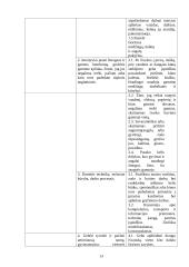 Meninės ir pažinimo kompetencijų tyrimas ir rezultatų analizė priešmokykliniame amžiuje 13 puslapis