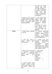 Meninės ir pažinimo kompetencijų tyrimas ir rezultatų analizė priešmokykliniame amžiuje 15 puslapis