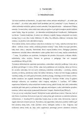 Meninės ir pažinimo kompetencijų tyrimas ir rezultatų analizė priešmokykliniame amžiuje 3 puslapis