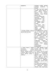 Meninės ir pažinimo kompetencijų tyrimas ir rezultatų analizė priešmokykliniame amžiuje 8 puslapis