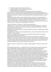 Įmonių palyginimas: TŪB "Nemuno banga", VĮ "Centro poliklinika", UAB "Genta" 5 puslapis