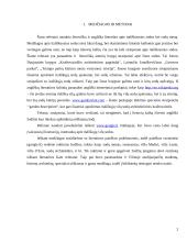 Itališkieji sodai 2 puslapis