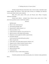 Itališkieji sodai 9 puslapis