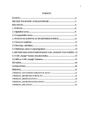 Metinio balanso parengimas: grožio salonas UAB "Snaigė" 2 puslapis