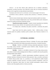 Metinio balanso parengimas: grožio salonas UAB "Snaigė" 11 puslapis