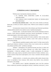 Metinio balanso parengimas: grožio salonas UAB "Snaigė" 12 puslapis