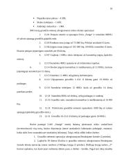 Metinio balanso parengimas: grožio salonas UAB "Snaigė" 15 puslapis