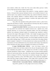 Metinio balanso parengimas: grožio salonas UAB "Snaigė" 16 puslapis