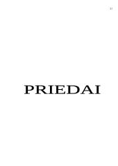 Metinio balanso parengimas: grožio salonas UAB "Snaigė" 20 puslapis