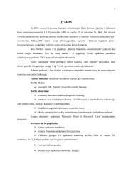 Metinio balanso parengimas: grožio salonas UAB "Snaigė" 3 puslapis