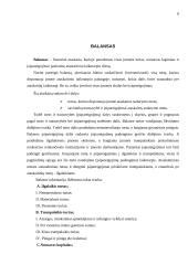 Metinio balanso parengimas: grožio salonas UAB "Snaigė" 5 puslapis