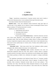 Metinio balanso parengimas: grožio salonas UAB "Snaigė" 7 puslapis