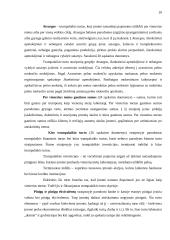 Metinio balanso parengimas: grožio salonas UAB "Snaigė" 9 puslapis