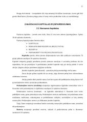 Metinio balanso parengimas: grožio salonas UAB "Snaigė" 10 puslapis