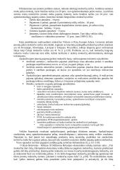 Mokesčių sistemos tobulinimo galimybės Lietuvoje 15 puslapis