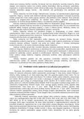 Mokesčių sistemos tobulinimo galimybės Lietuvoje 19 puslapis