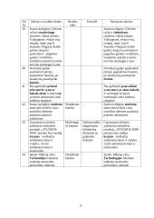Kauno Kolegijos internetinio puslapio kalba 11 puslapis