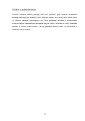 Kauno Kolegijos internetinio puslapio kalba 13 puslapis