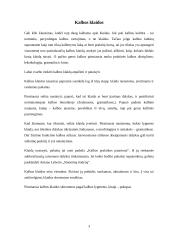 Kauno Kolegijos internetinio puslapio kalba 3 puslapis