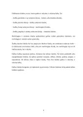 Kauno Kolegijos internetinio puslapio kalba 4 puslapis