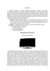 Displėjai (monitoriai) 2 puslapis