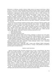 Displėjai (monitoriai) 11 puslapis