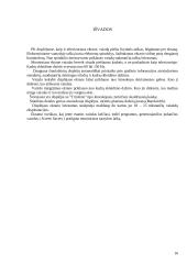 Displėjai (monitoriai) 16 puslapis