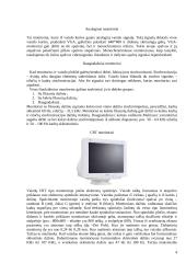 Displėjai (monitoriai) 4 puslapis