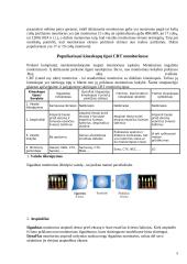 Displėjai (monitoriai) 5 puslapis