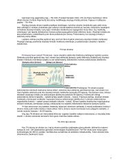 Displėjai (monitoriai) 7 puslapis