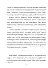 Muzikos mokymo formos ir metodai 12 puslapis