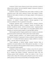 Konditerija 2 puslapis
