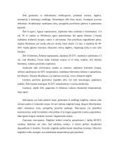 Konditerija 5 puslapis