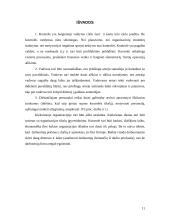 Kontrolės sistemos įmonėje analizė 10 puslapis