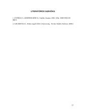 Kontrolės sistemos įmonėje analizė 11 puslapis