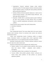 Kontrolės sistemos įmonėje analizė 4 puslapis