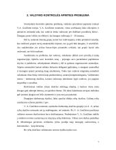 Kontrolės sistemos įmonėje analizė 6 puslapis