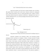 Naudingumo samprata ir vartotojo pasirinkimas 16 puslapis